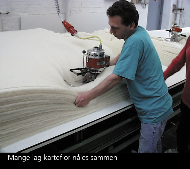 fraster, filt, felt, forabejdning, filteproces,